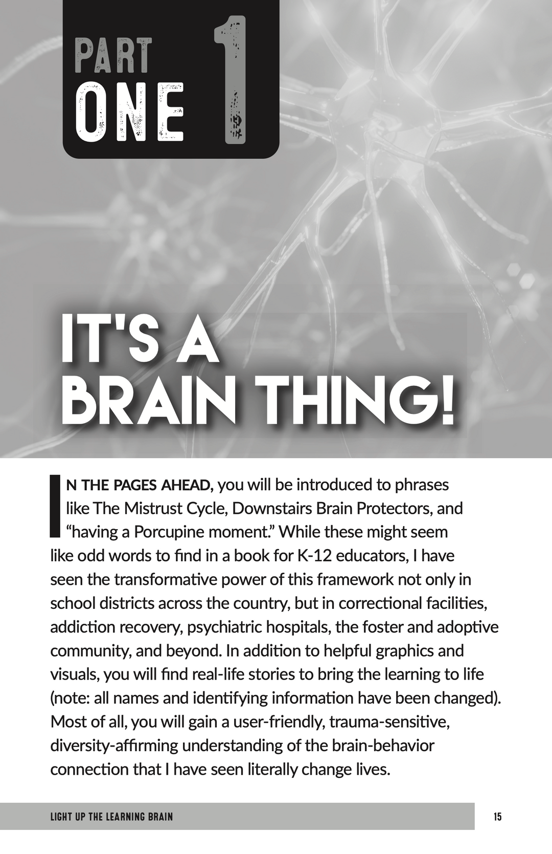 Light Up the Learning Brain