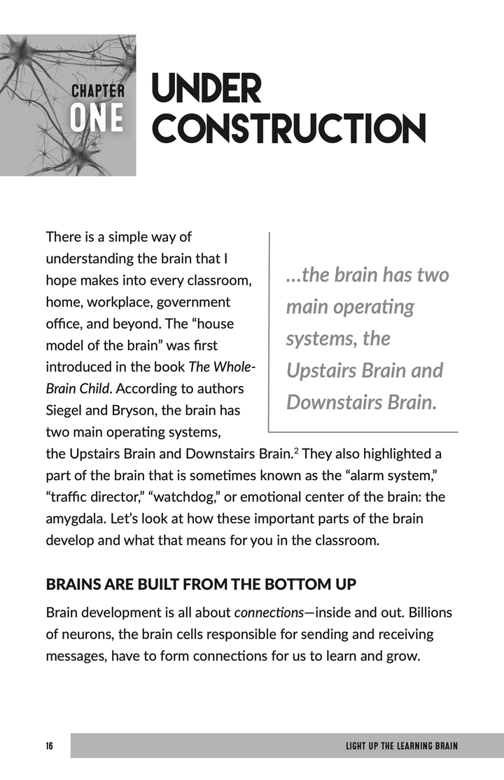 Light Up the Learning Brain